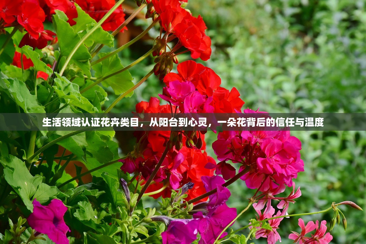生活领域认证花卉类目,从阳台到心灵,一朵花背后的信任与温度 生活领域认证花卉类目,从阳台到心灵,一朵花背后的信任与温度